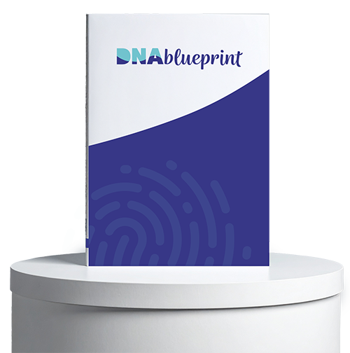 DNA Blueprint brand strategy workshop